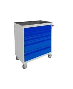 Инструментальная тележка WDS-5